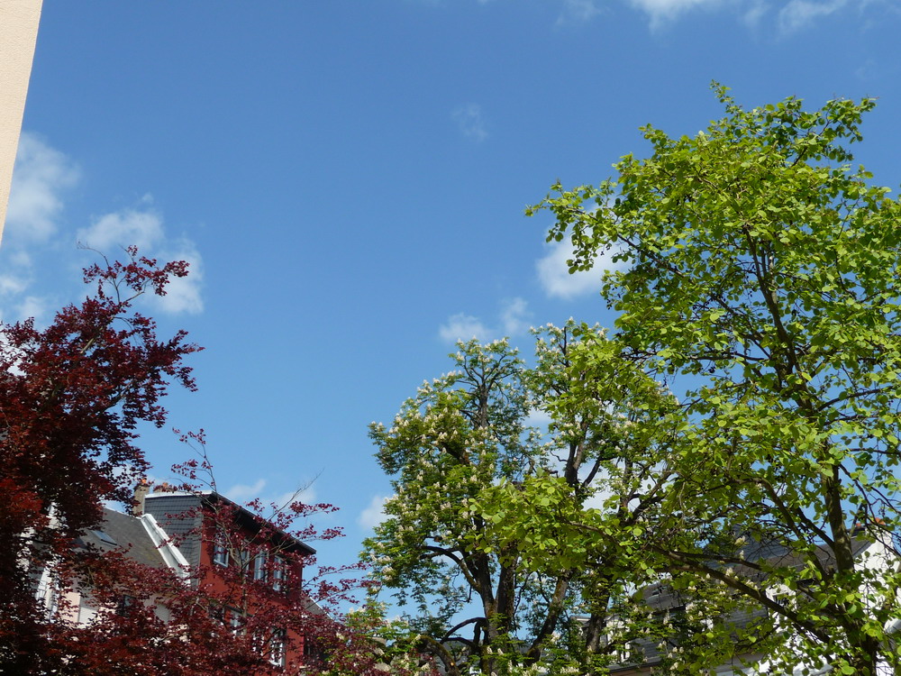 201005_NE/2010-05-15 15-34-32_Nei_Ettelbruck.JPG